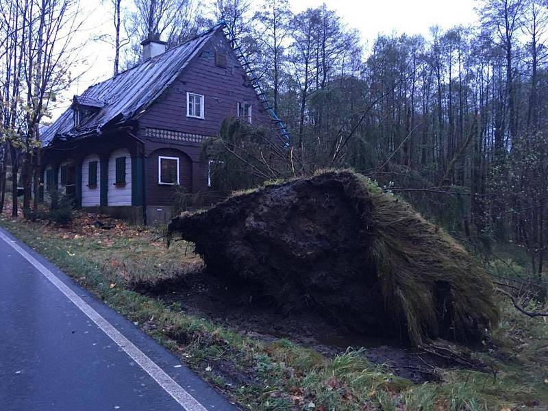 Vichřice udeřila i mezi Brtníky a Vlčí Horou na Šluknovsku