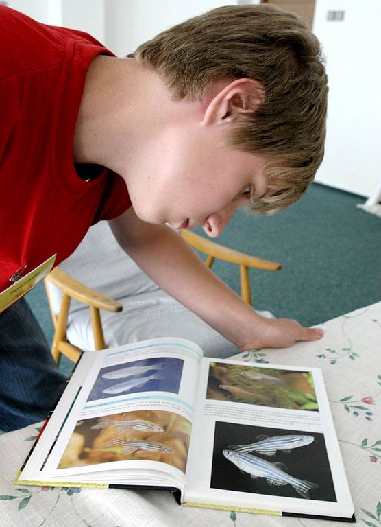 Soutěž mladých chovatelů v Jiřetíně pod Jedlovou