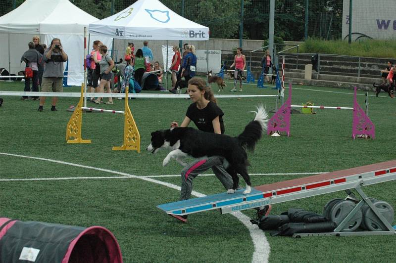 MĚSTSKÝ STADION v Děčíně hostil závody agility.