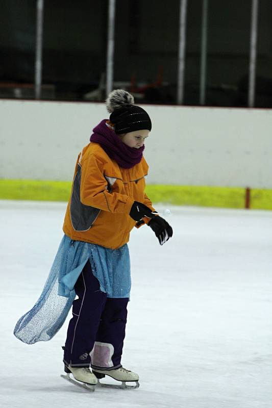 Karneval na zimním stadionu v Rumburku.