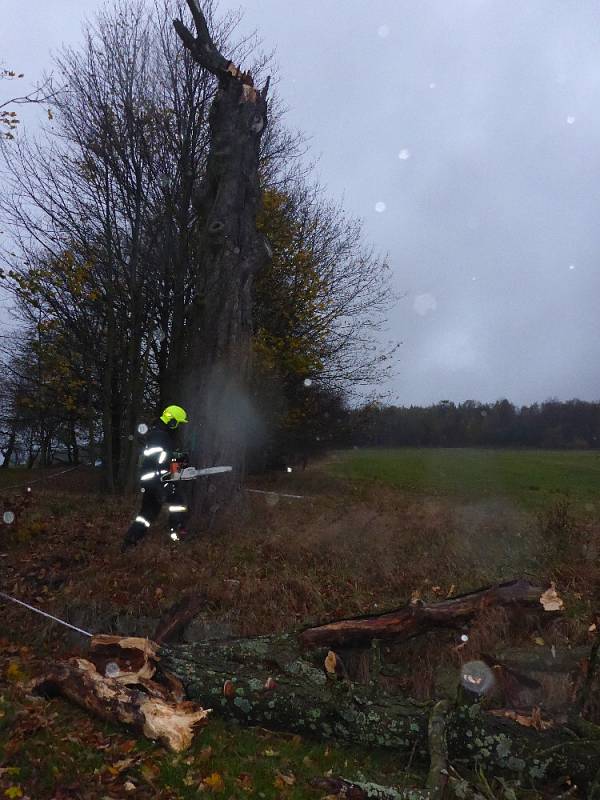  Vítr značně poškodil mohutný strom na Sněžníku. Na místo vyjeli místní hasiči a strážníci.