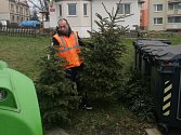 Úklid vánočních stromků v Děčíně zajišťuje Středisko městských služeb.
