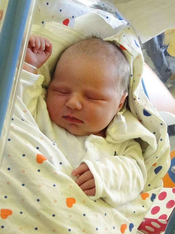 Petře Šebkové z Děčína se 24. 8. v 15.02 v děčínské porodnici narodila dcera Evelínka Šebková. Měřila 52 cm a vážila 4,85 kg.