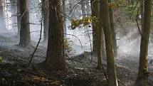 Požár lesa u Sněžníku.