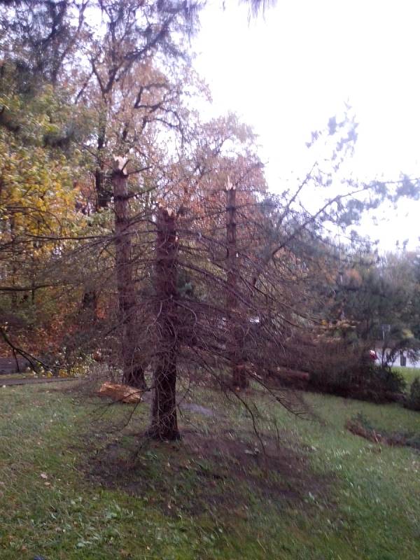 Vichřice polámala několik stromů uprostřed sídliště v Želenicích