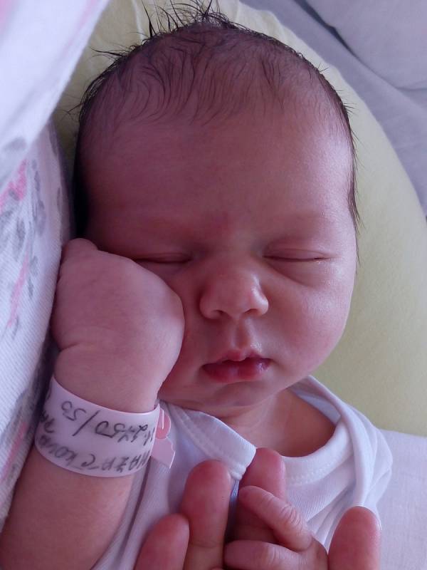 Patricie Mazáčková se narodila Michaele Mazáčkové z Benešova nad Ploučnicí 3. srpna v 8.18 v děčínské porodnici. Měřila 50 cm a vážila 2,75 kg.