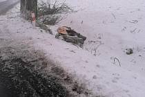 Na Sněžníku spadlo na silnici vlivem silné námrazy několik větví. S odklízením pomohli místní obyvatelé a hasiči.