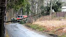 Do ulice Lesní vyjeli dobrovolní hasiči z Rumburku, jeden ze stromů se kvůli silnému větru vyvrátil a spadl přes silnici na dráty s elektřinou.