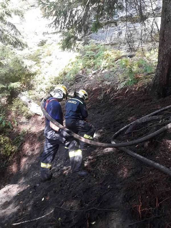 U požáru lesa v Hřensku zasahovalo šest jednotek.