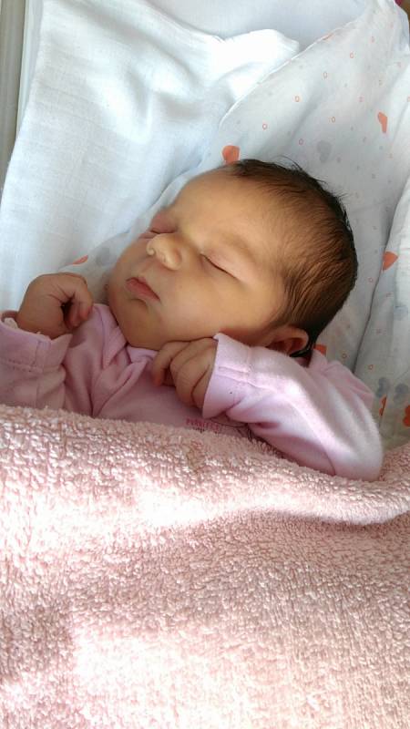 Veronice Švejdové z Kerhartic se 8. dubna v 15.20 v děčínské nemocnici narodila dcera Anetka Bydžovská. Měřila 53 cm a vážila 4,07 kg.