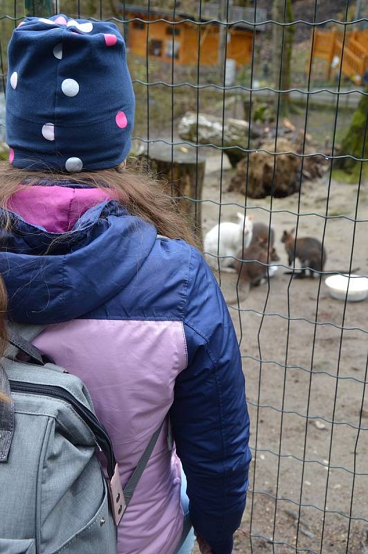 V děčínské zoologické zahradě zahájili 73. návštěvnickou sezónu.