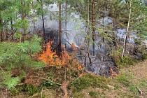 Požár lesa v Děčíně-Bynově.