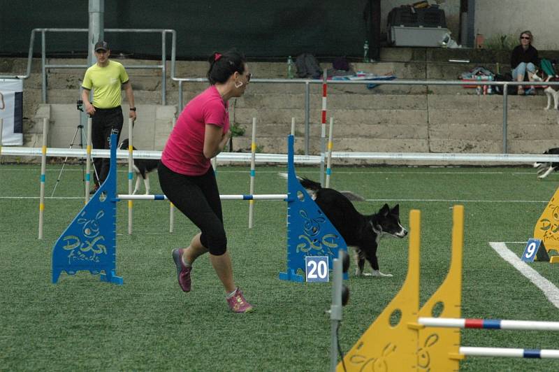 MĚSTSKÝ STADION v Děčíně hostil závody agility.