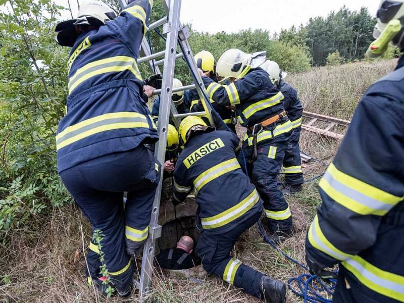 Hasiči vytáhli v Rumburku berana, který spadl do studny.