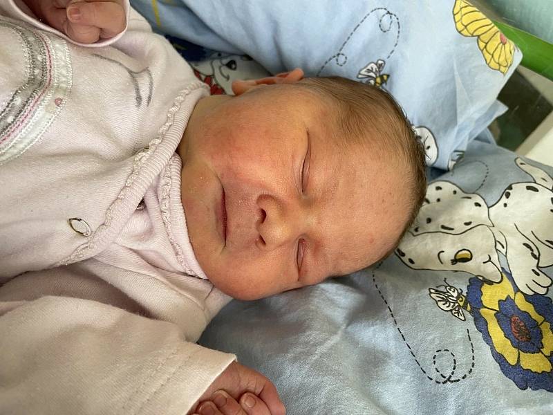 Vojta Baudyš se narodil 9. listopadu ve 21.50 hodin mamince Patricii Prokešové. Měřil 50 cm a vážil 3,88 kg.