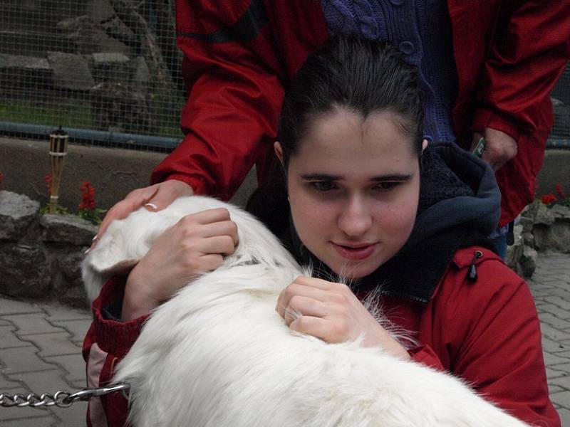 Noc snů se snesla na děčínskou zoo