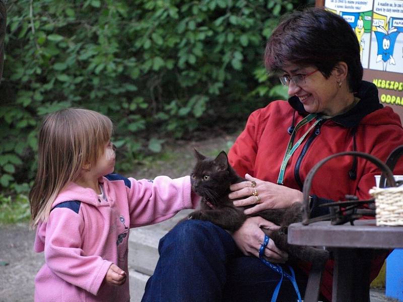 Noc snů se snesla na děčínskou zoo