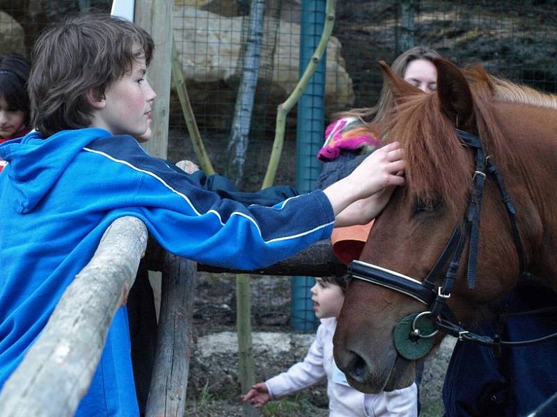 Noc snů se snesla na děčínskou zoo