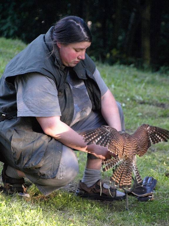 Noc snů se snesla na děčínskou zoo