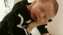 Ondřej Cintula se narodil Anně Bezděkové z Děčína 14. listopadu v 19.31 v děčínské porodnici. Měřil 51 cm a vážil 3,6 kg.