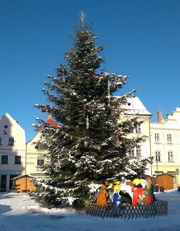 Vánoční strom na náměstí v České Kamenici