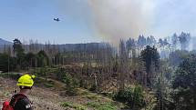 V národním parku hasiči bojují s rozsáhlým lesním požárem. Pondělí 25. července.