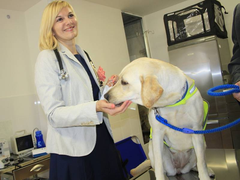 Libverda představila učebny  i novou veterinární ordinaci.