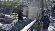 V děčínské zoologické zahradě zahájili 73. návštěvnickou sezónu.