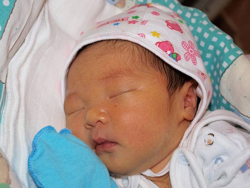 Nguyen Thi Hien z Varndorfu se 22. listopadu v 7.44 v rumburské porodnici narodil syn Andrej Vu Duc Huy. Měřil 51 cm a vážil 3,51 kg.