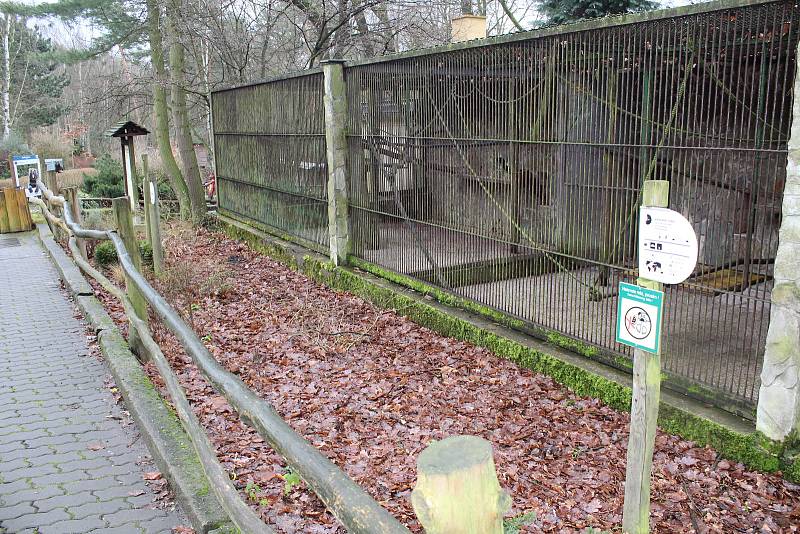 Děčínská zoo se dočká nového pavilonu pro opice.