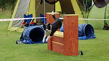 Dvoudenní psí závody agility Borec severu 2012 v Mikulášovicích.