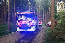 Zásah hasičů u požáru lesa nedaleko Srbské Kamenice.