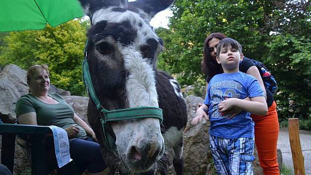 Akce v děčínské zoo.