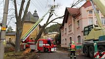 Třicetimetrovou lípu, která se v Bělé opřela o dům, hasiči rozřezali.