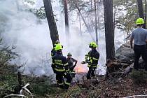 Nedaleko Jetřichovic hasiči dva dny bojovali s lesním požárem.