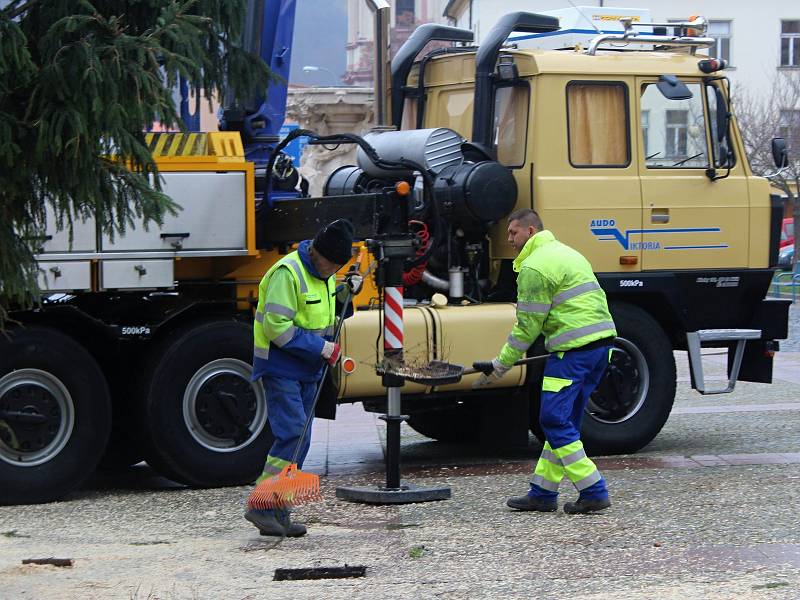 V pátek přivezli vánoční strom na Masarykovo náměstí v Děčíně.