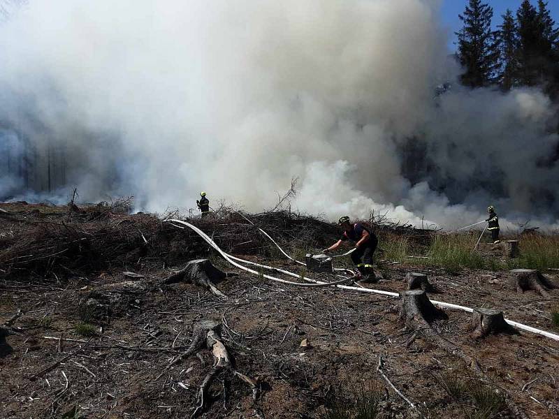 Na hranice spěchali hasiči. U Kristinina Hrádku hořel les.