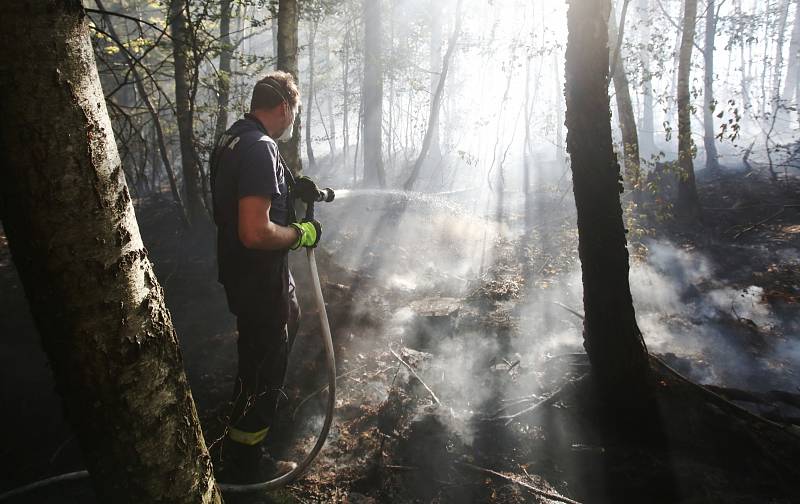 Lesní požár u Tisé hasiči likvidují už druhý den