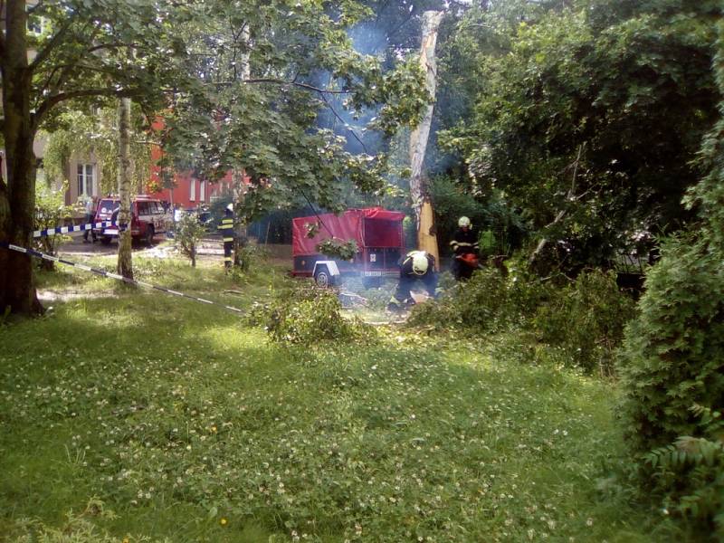 Bouřka zasáhla také břízu mezi domy na křižovatce Přemyslovy a Rakovnické ulice.