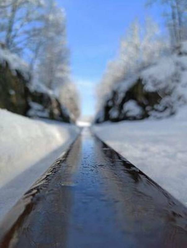 Žáci ŽŠ Velký Šenov se učili fotit makro fotografie