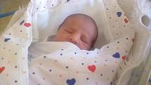 Dcerka Klárka Heráková se narodila mamince Petře Herákové v děčínské nemocnici 8.září v 7.19 s váhou 2480g a mírou 48cm.