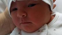 Rodičům Andree a Josefu Vendolským z Děčína se 26. října ve 22.22 v děčínské porodnici narodila dcera Jolana Vendolská. Měřila 52 cm a vážila 3,22 kg.