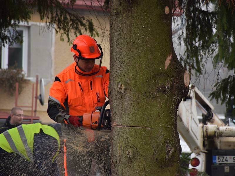 Vánoční strom zdobí od čtvrtka Lužické náměstí v Rumburku.