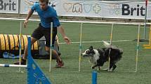 MĚSTSKÝ STADION v Děčíně hostil závody agility.