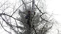 Pro stromolezce Jana Štveráka nejsou ani v 73 letech vysoké stromy žádnou překážkou.