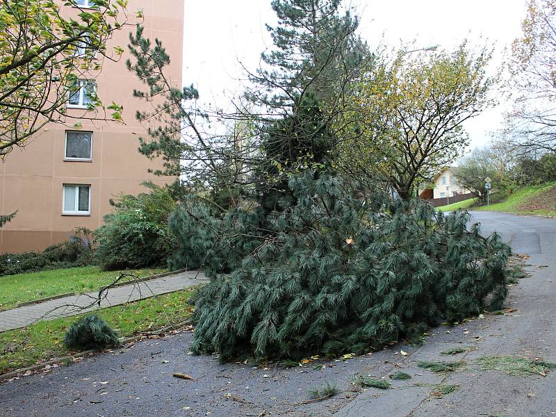 Několik stromů popadalo i na sídlišti v Želenicích.