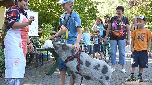 Farmářská zoo 2015.