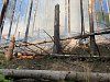 Požár v Českém Švýcarsku: Hoří sedm hektarů lesa, hasit pomáhá i vrtulník