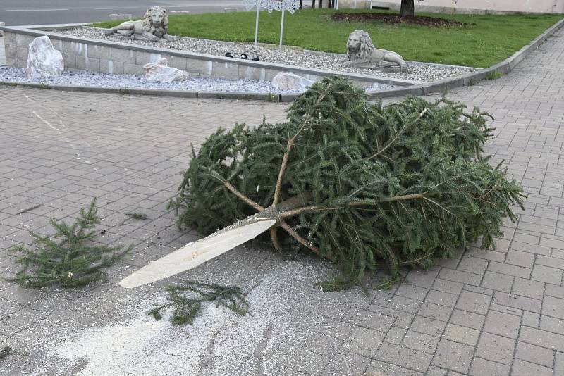 V Horním Podluží stavěli májku i pálili čarodějnice.