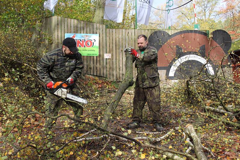 V zoo likvidovali v pondělí následky vichřice. Bylo nutné odstranit spadlé stromy a větve.